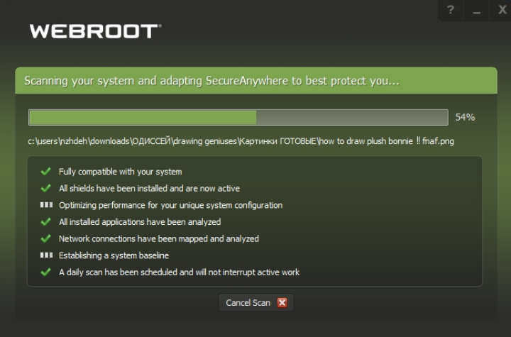 Webroot Scanning Process.